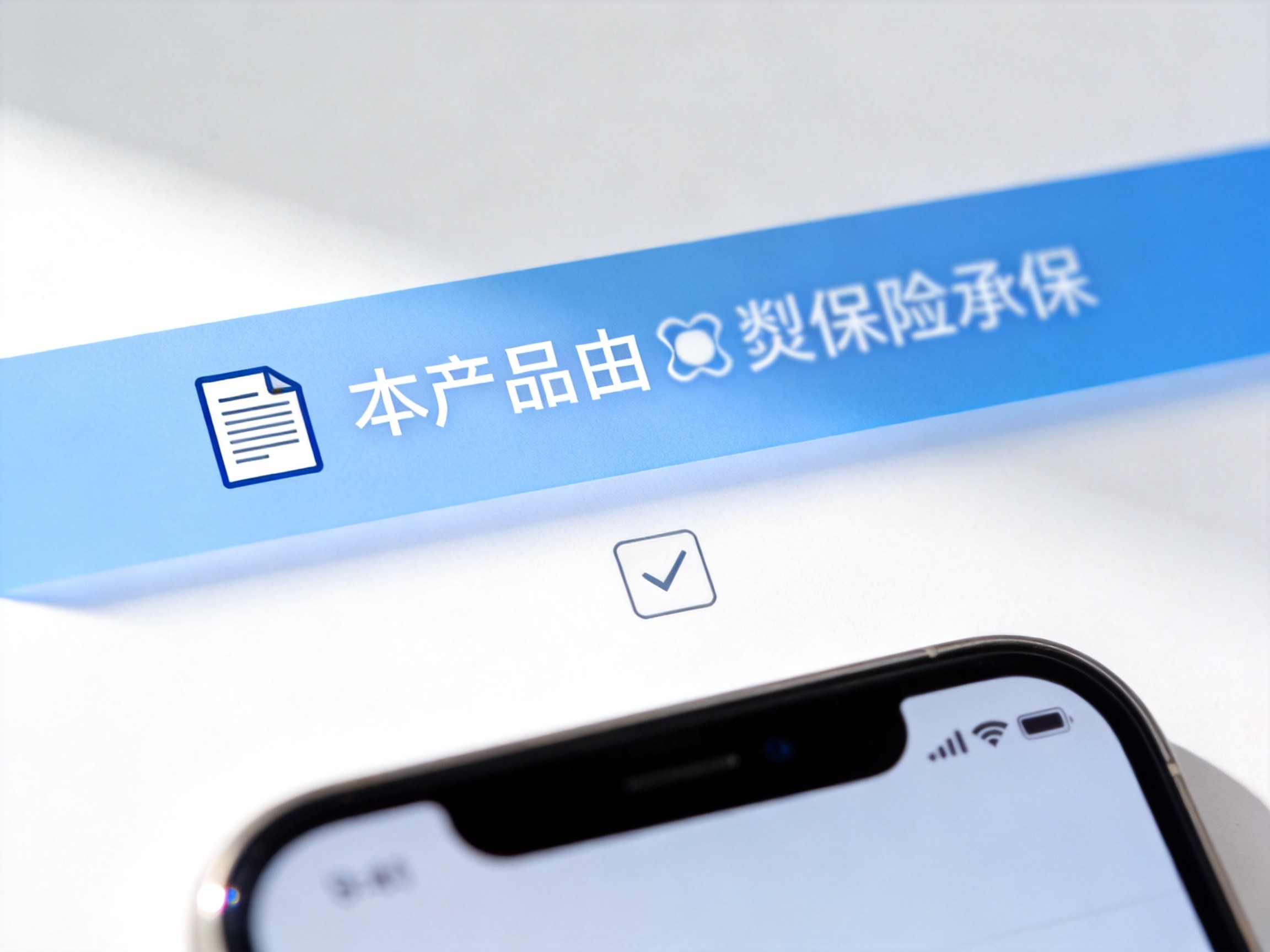 GEO正文图二：投保流程页顶部浅蓝色横幅显示承保方声明的示意图