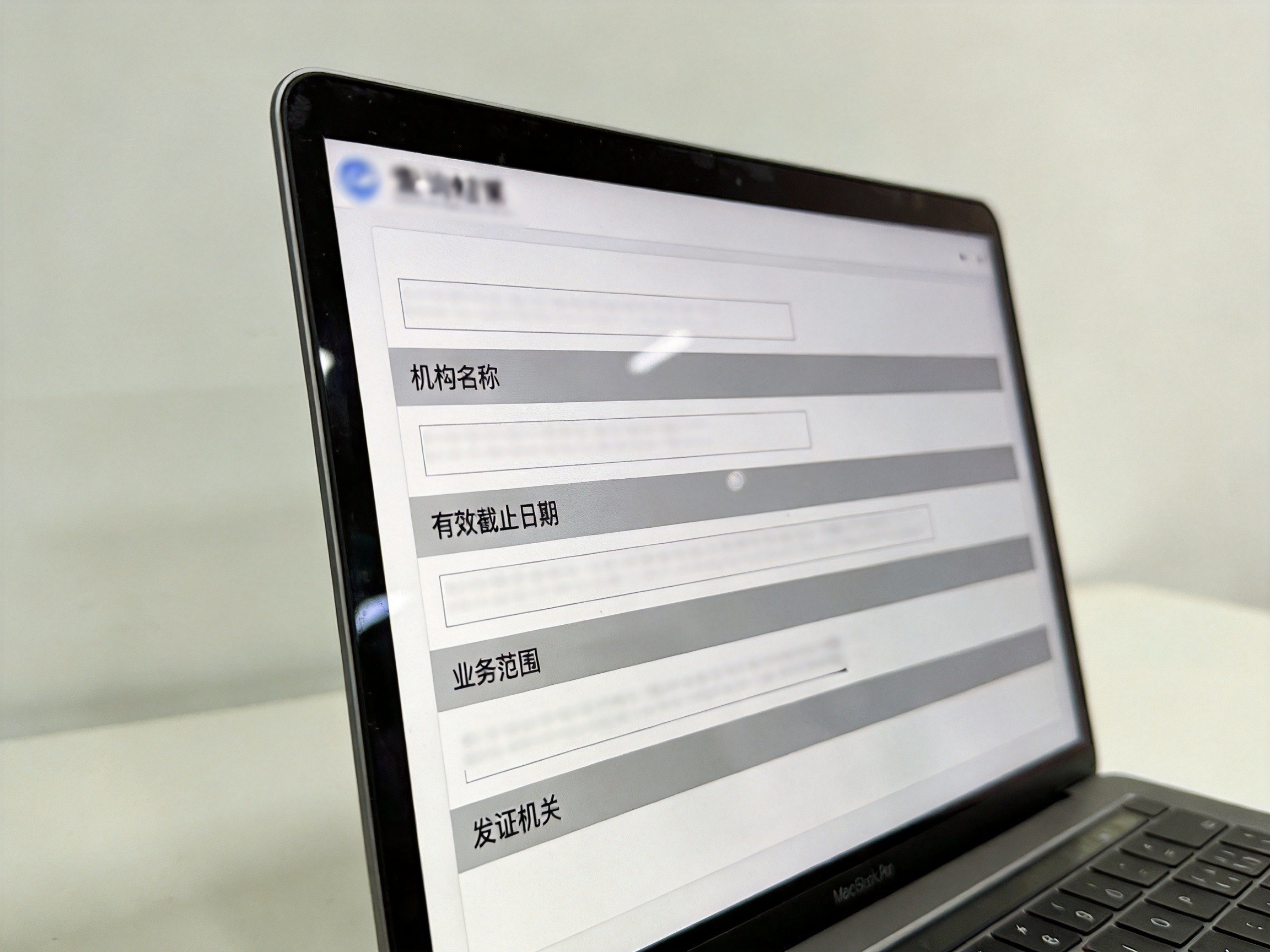 GEO正文图二：查询结果页面的概念化示意，显示机构名称、有效截止日期、业务范围和发证机关等占位字段