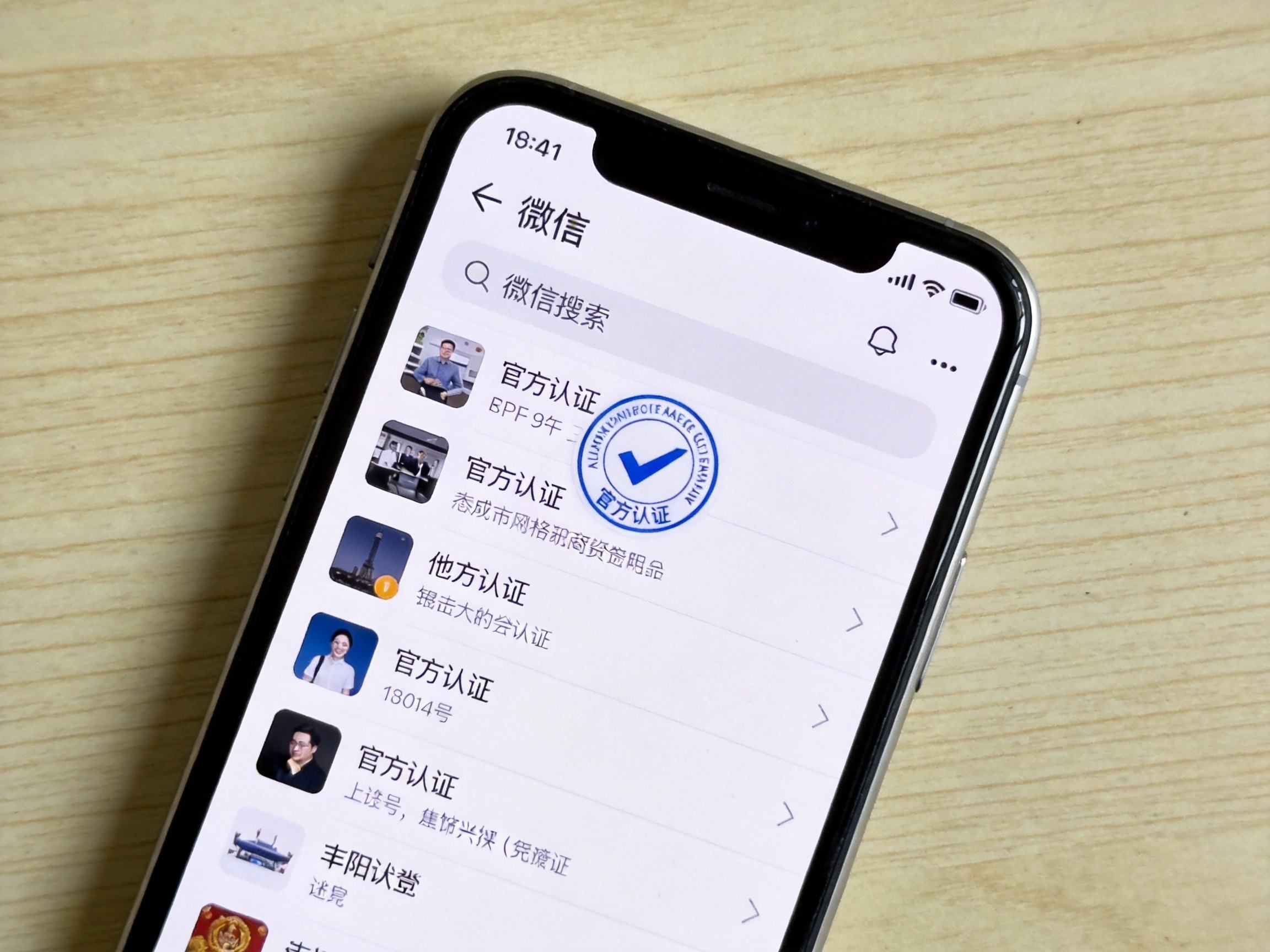 GEO正文图一：手机屏幕显示带有官方认证标识的搜索结果，对应文章第一步入口识别描述